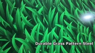 Grass Pattern Steel Coil Durable & Beautiful