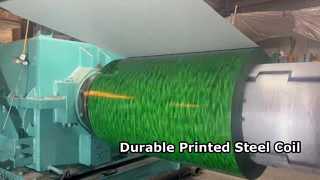 Printed Steel Coil Durable & Decorative Building Material
