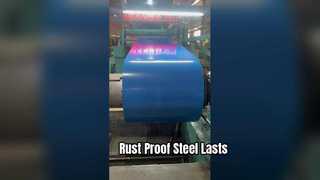 Durable PPGI Steel for Tropical Climates