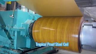 Durable Color Coated Steel Coil for Southeast Asia