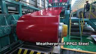 PPGI Steel Coil Ultimate Durability Weatherproof