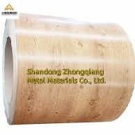1100 3003 3004 3105 Series Color Coated Aluminium Coil Aluminum Alloy For Building