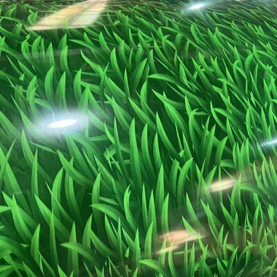 Hot Dip Galvanized Substrate PPGI Steel Coil High-Temp Cured Printing Personalized Customization